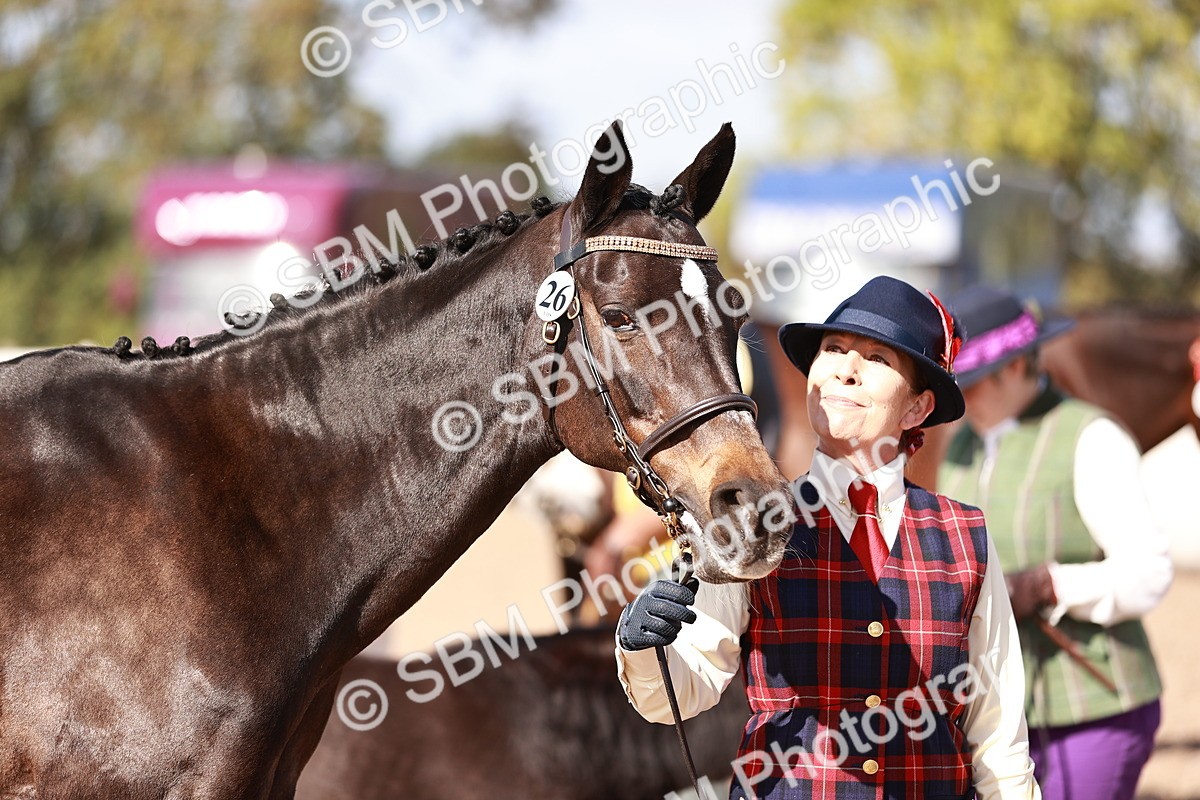 SBM_22803 - Class 705 - IH Combination 65+