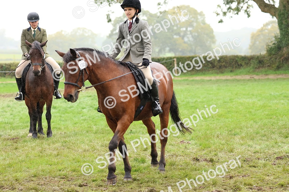 SBM_69729 - S62 - Mountain & Moorland Ridden Large Breeds