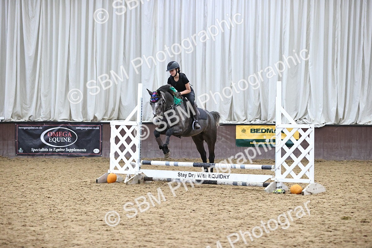 SBM_001339 - Class 3 - Horse & Hound 60cm