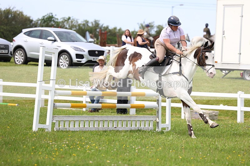 3E7A1851 - Class 13: Senior British Novice/90cm open