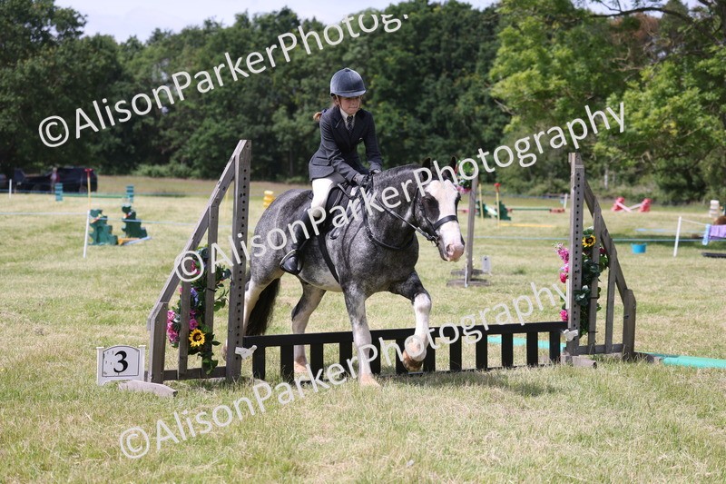 20260614-1967 - Class 21 - Novice Working Hunter Pony