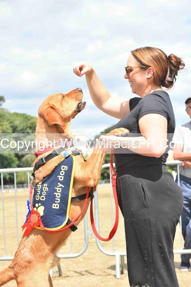 SH4_0266 - Dog show.