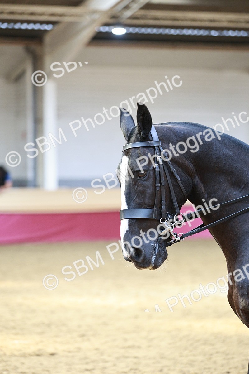 SBM_08305 - Class 11R - Regional Ridden Veteran