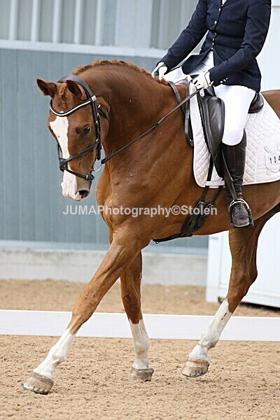 SIAL8441 - GDG Bogenraith Friday 26th Sept 2025