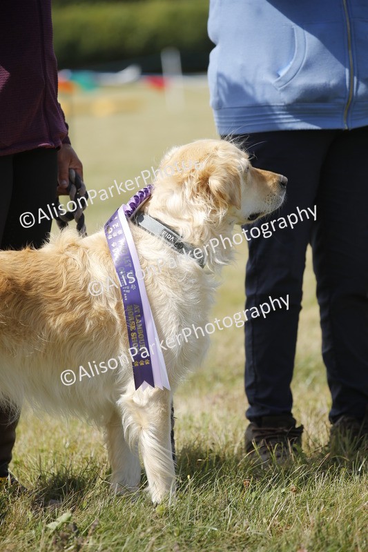 20250831-3810 - Dog Show
