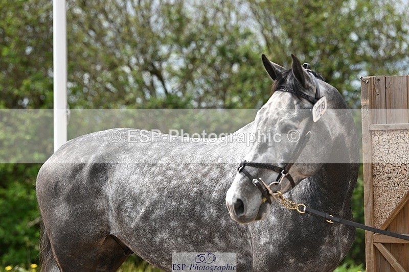 250423-133745-00709 - 1pm to 2pm