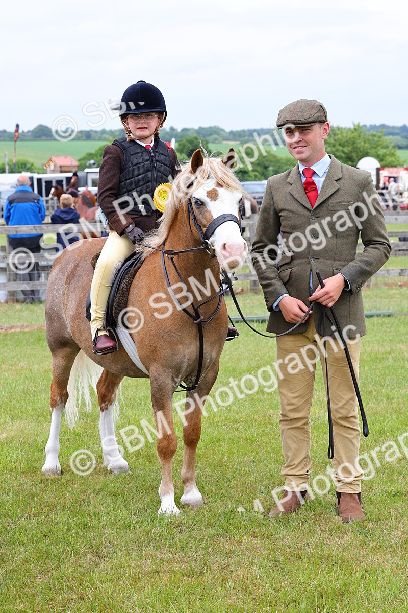 SBM_08373 - Class 42-43 - LIHS BSPS Heritage Working Sports Pony