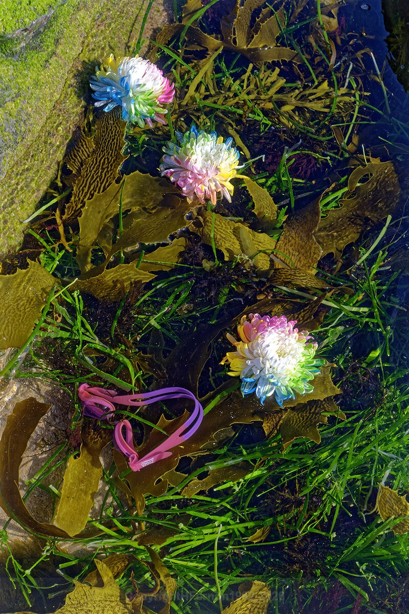 ENTROPY TRIPTYCH X-Xll - ENTROPY 2023