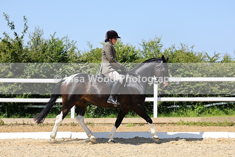 1X9A1476 - Class 10: Ridden Veteran