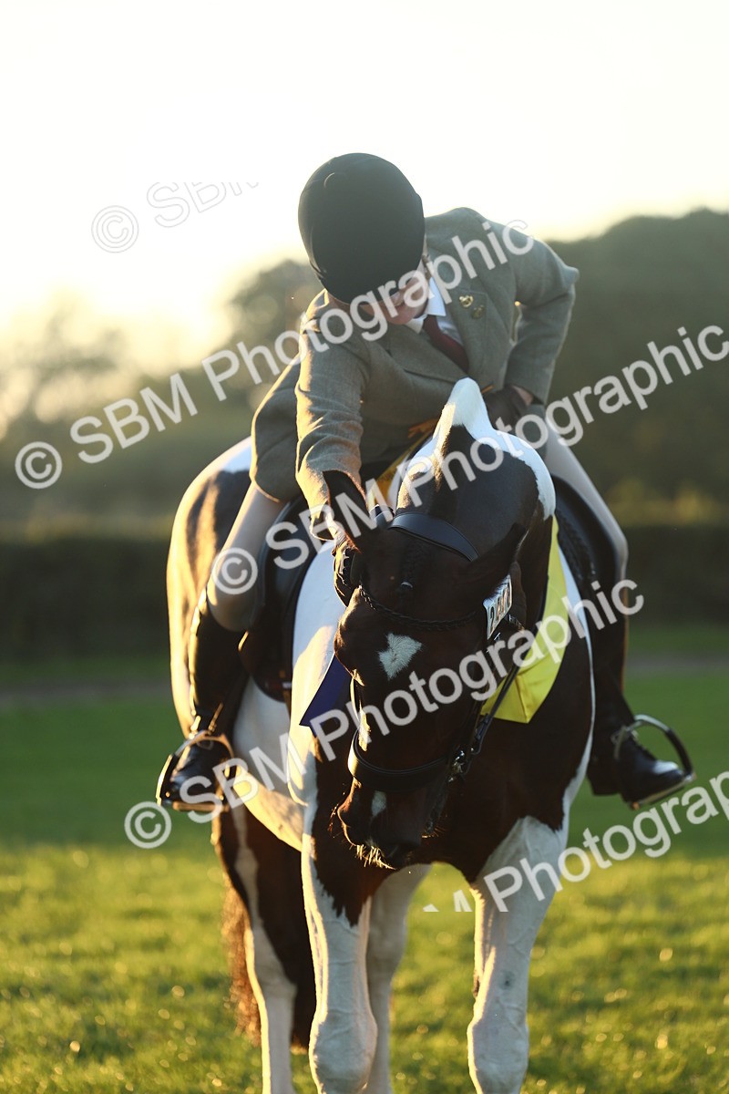 SBM_56685 - Fun & Versatile Supreme Championship