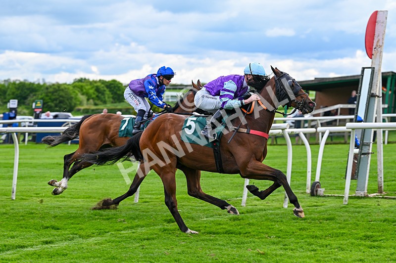 210526-Race 3-Evocative Spark-4310 - Race 3 15.10pm catterickbridge.co.uk Handicap