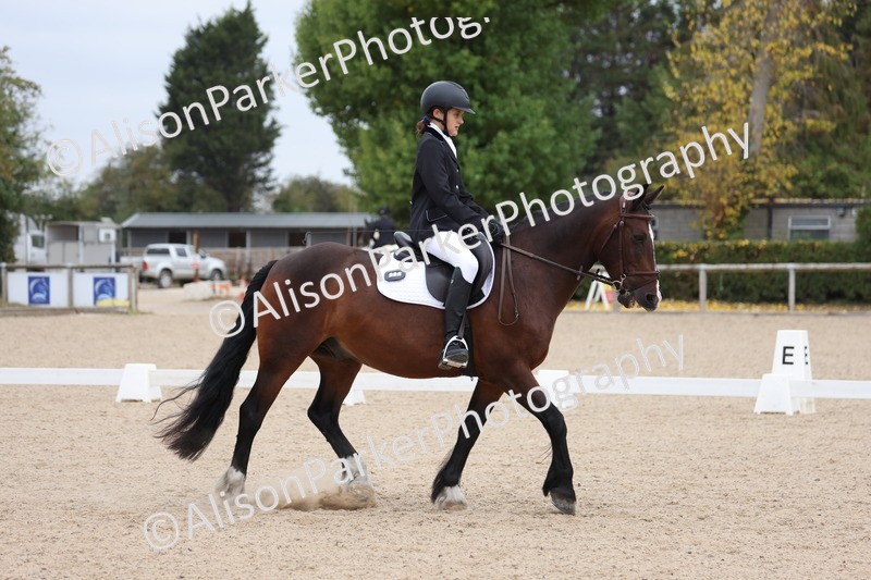 20250819-1131 - Class 3 - Prelim 2