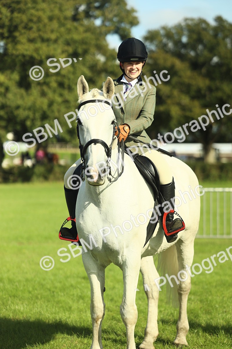 SBM_49855 - S32 - Novice & Newcomers Working Hunter