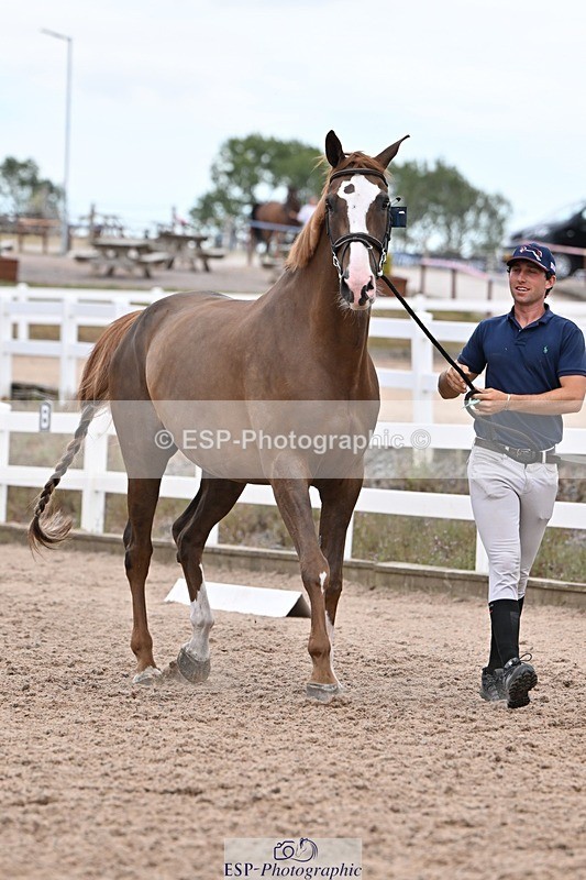 250716-141525-00992 - Trot Up 1.30 to 2.30