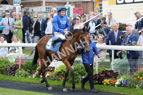 yr11062022r6-15 - Race 6 4.15pm Reg Griffin Appreciation EBFstallions.com Maiden Stakes