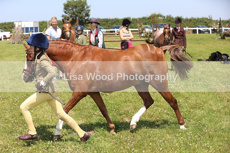 JPP_2849 - Class 21: Working Hunter 60cm