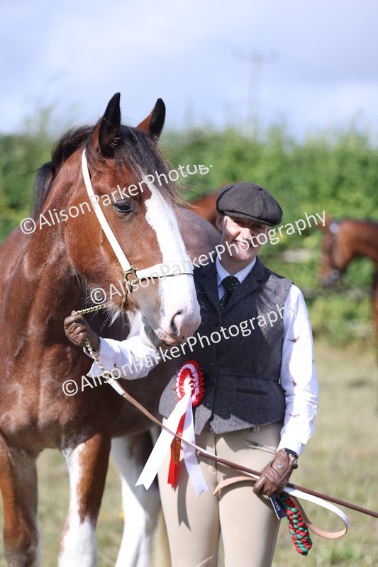 20250831-1532 - Class 21 - Inhand Open