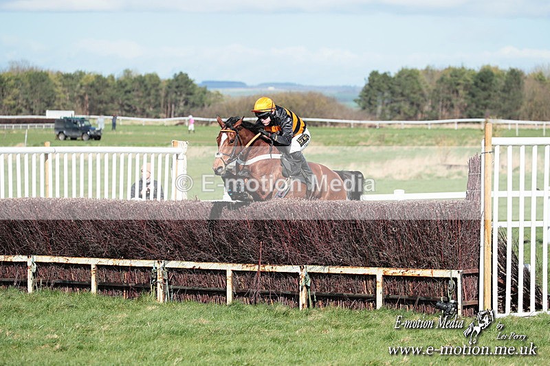 PtP 230324 551 - Tedworth Hunt PtP Larkhill Raccourse 23rd March 2024