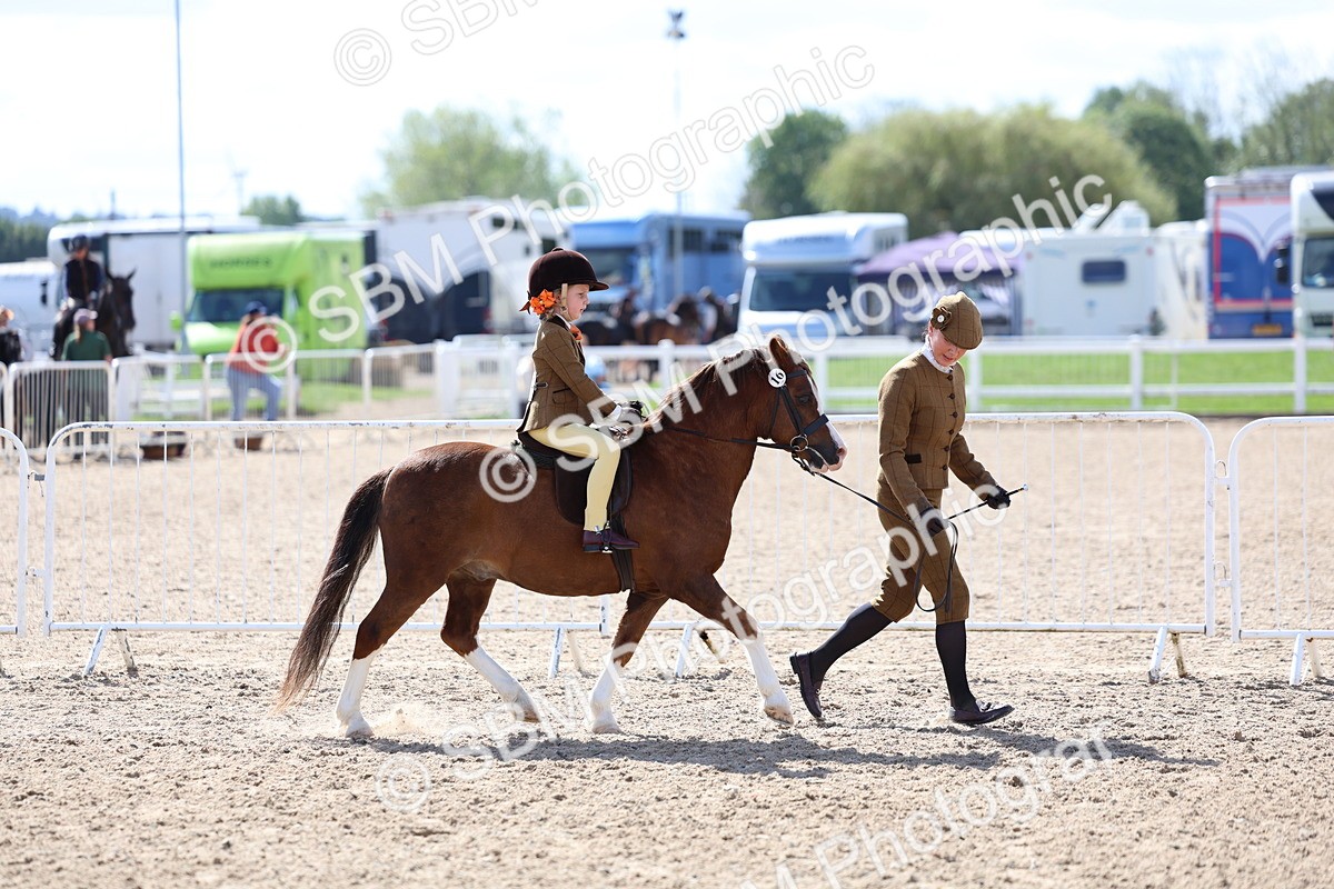 SBM_13020 - Class 309 - Lead Rein Pony
