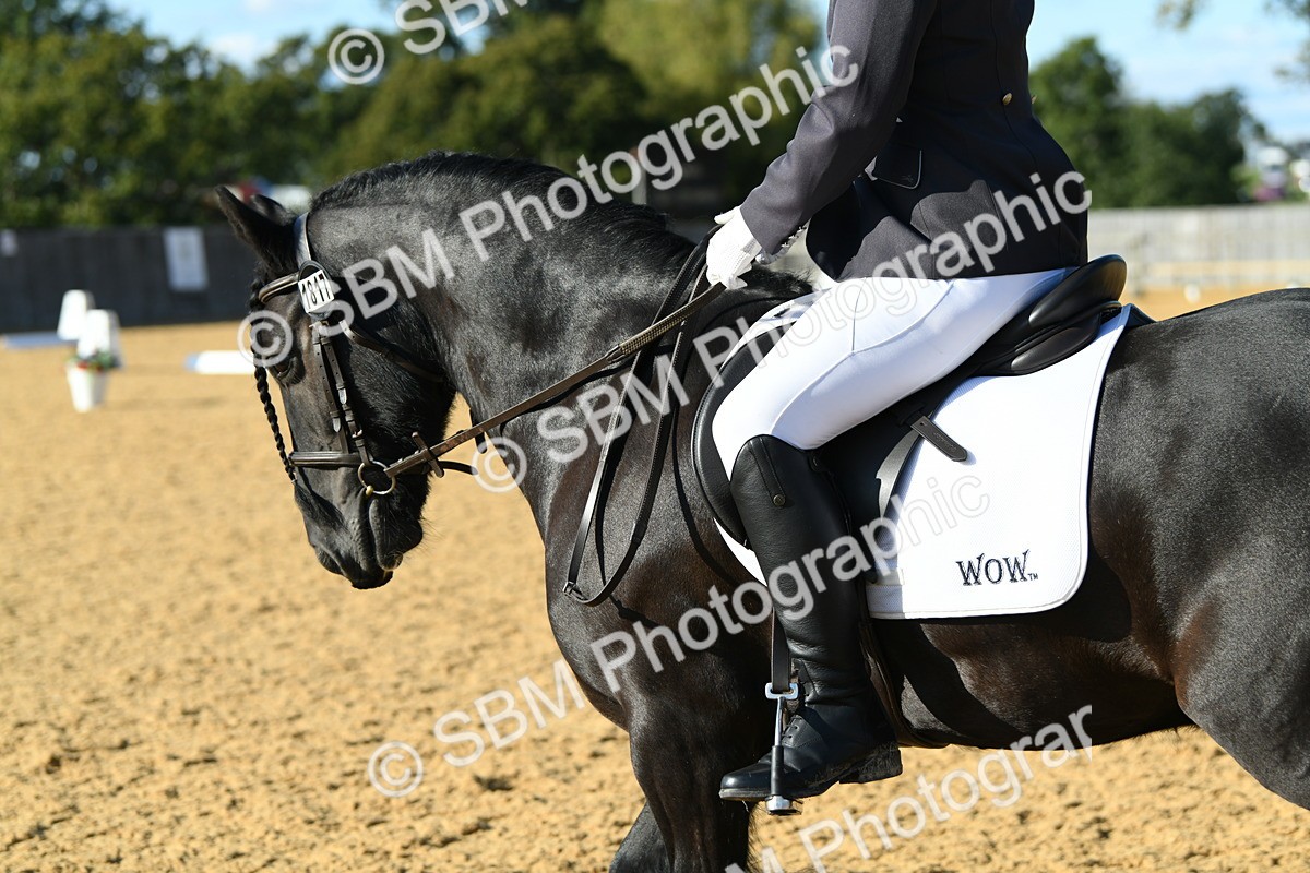 SBM_28445 - D16 - Small Tour Championship - Novice 28