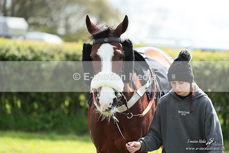 PtP 180426 384 - Worcestershire Hunt PtP Chaddesley Corbett 18/04/26