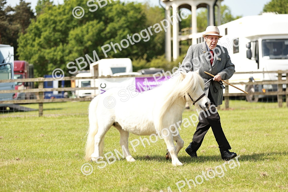 SBM_01957 - Class 14-23 - Mountain & Moorland In Hand Non Welsh