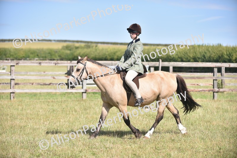 20260906-2616 - Class 12 - 14.2hh and Under