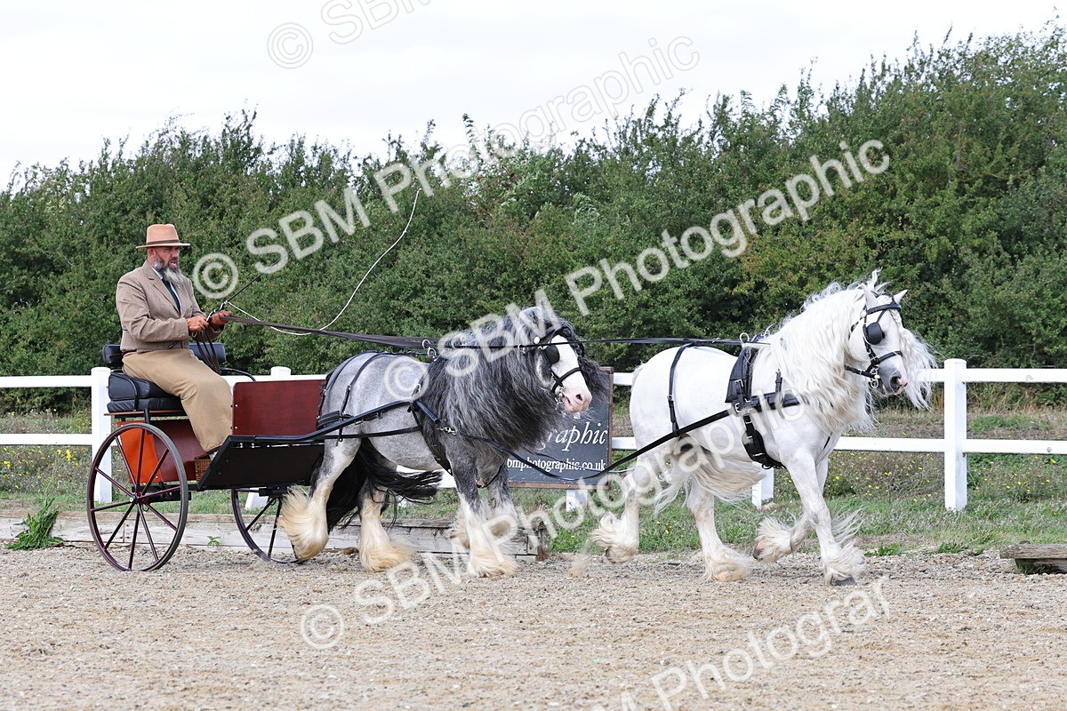 SBM_001167 - Class 16 - Pairs ,Multiples and Tandems