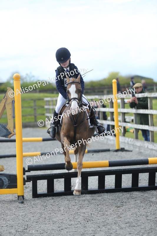 20260412-1737 - Show Jumping