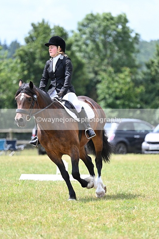 WJ7_5669 - Time 11:52 to 12:10