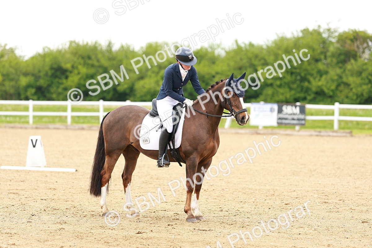 SBM_005013 - Class 15 - Novice 5