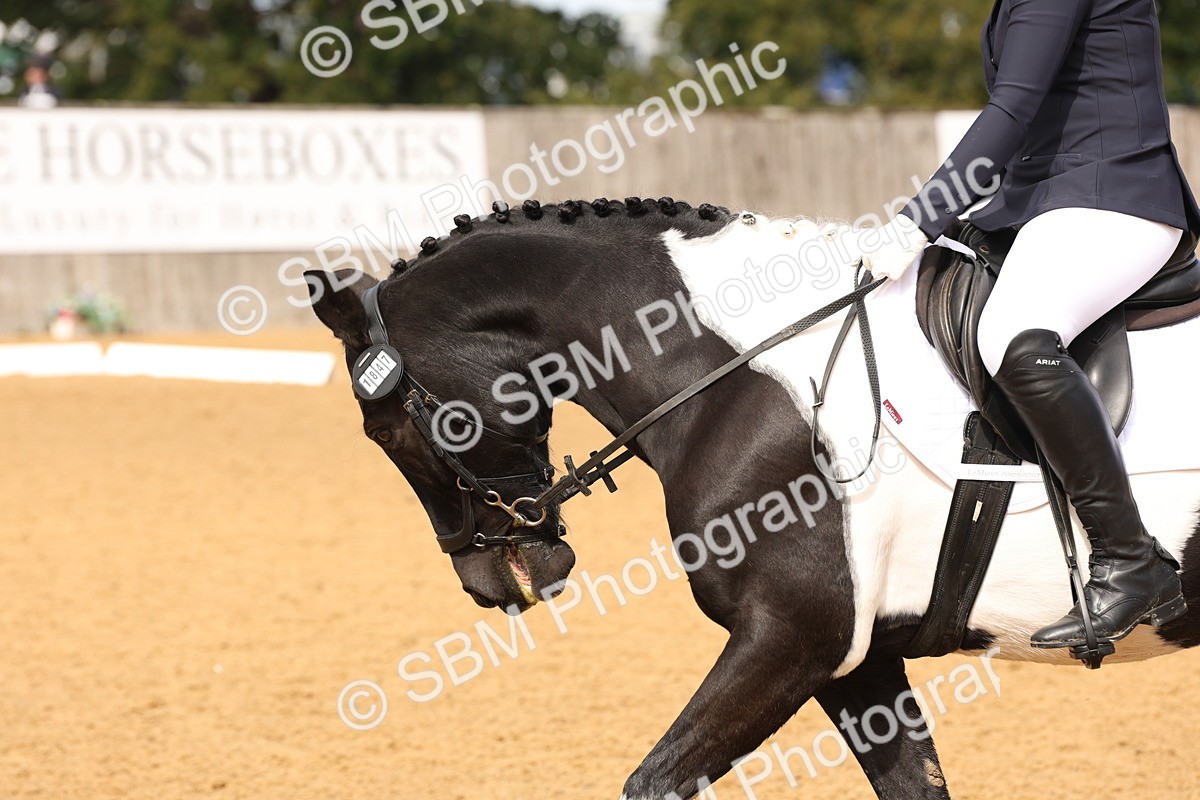 SBM_40677 - D6 - Small Tour Championship Intro 4