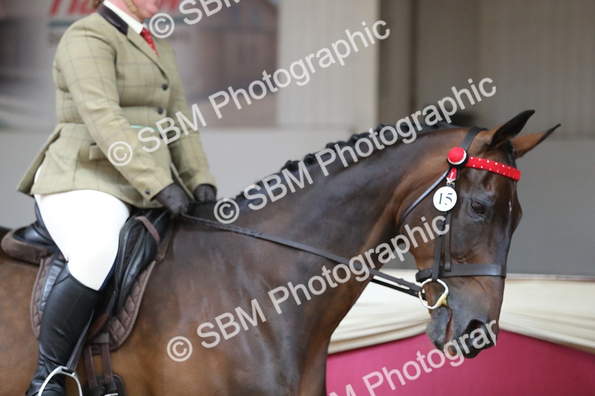 SBM_02840 - Class 6a Area Ridden Pre Vet