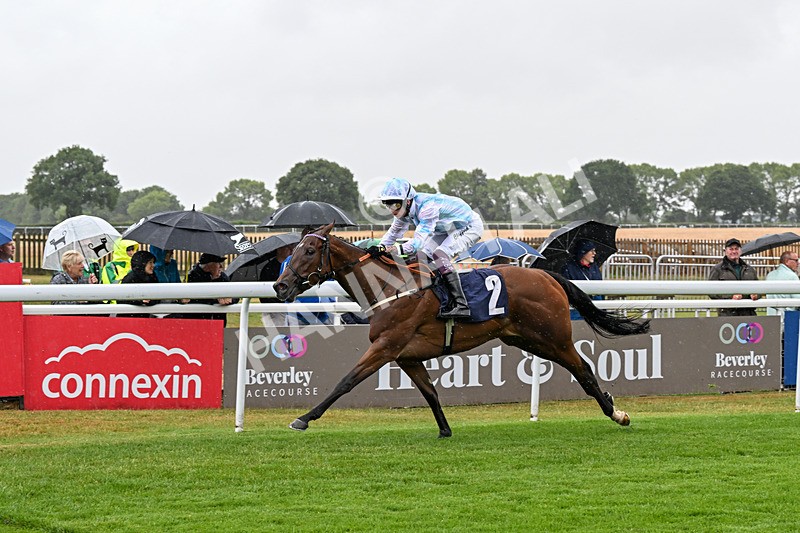 150725-Race 2-Pearl Fortune-0193 - Race 2
