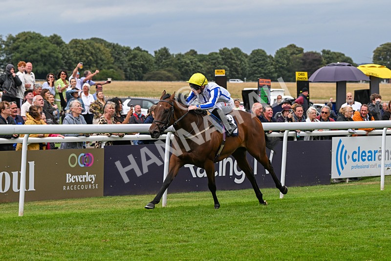 150824-Race 3-Go On Rosie-7869 - Race 3