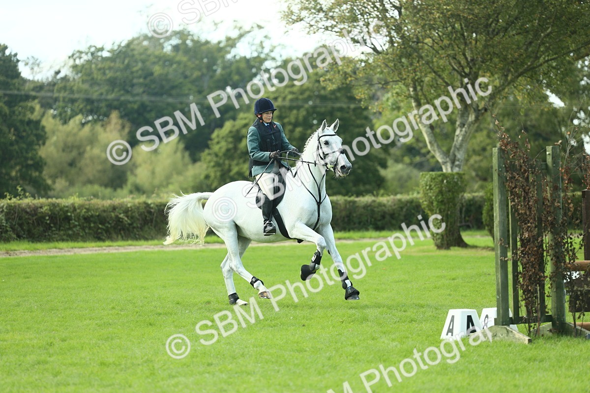 SBM_50600 - S33 - Working Hunter & Working Show Horse
