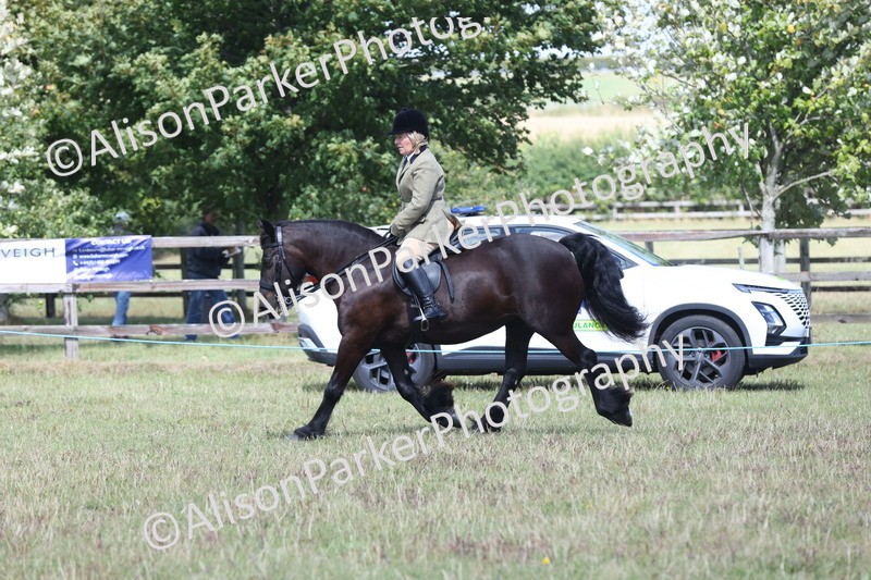 20250831-2943 - Class 19 - Mountain and Moorland