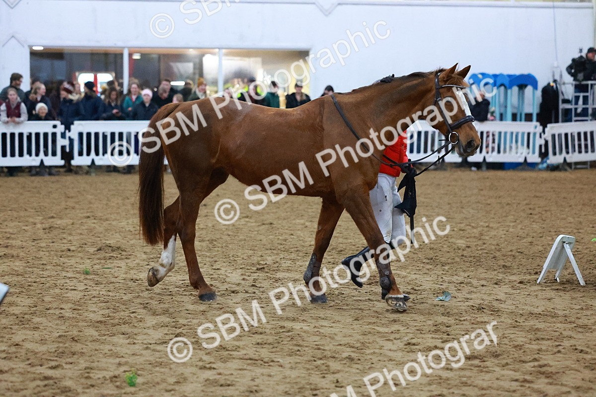 SBM_006094 - Bareback - Camera 2