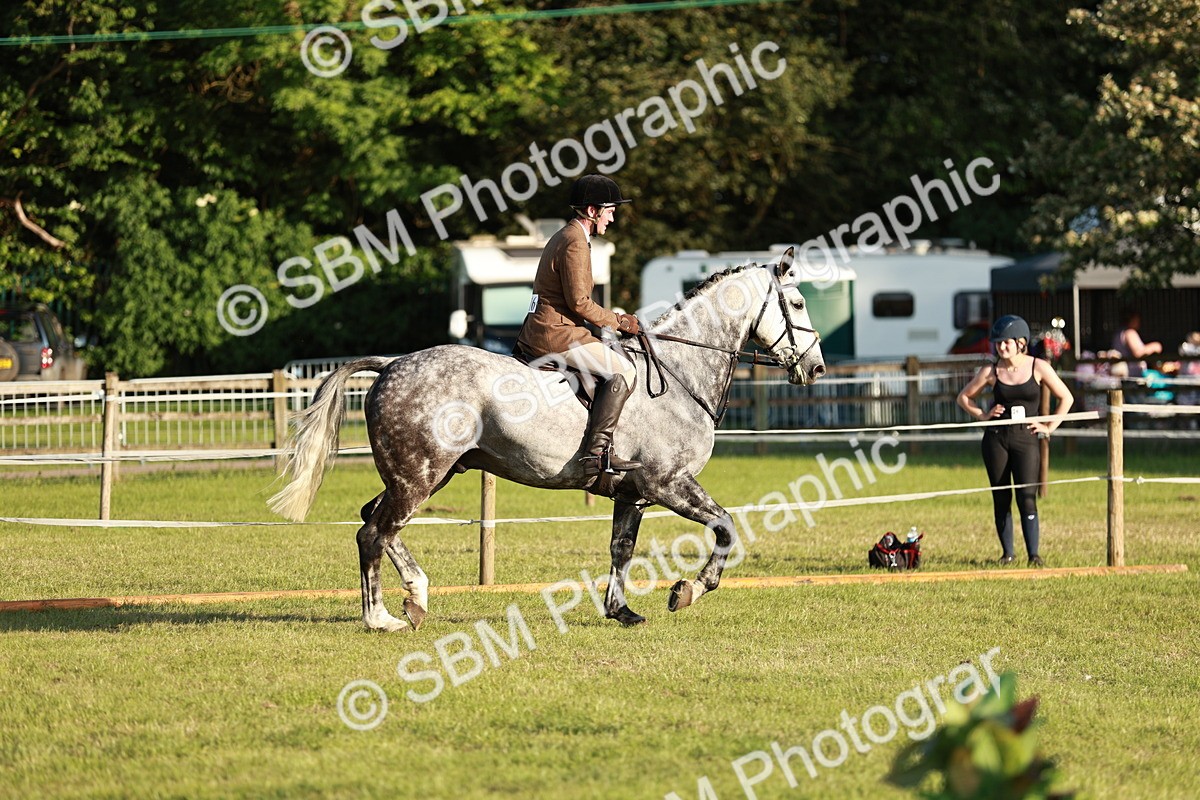SBM_20432 - Class 117-119 - Sport Horse Working Hunter