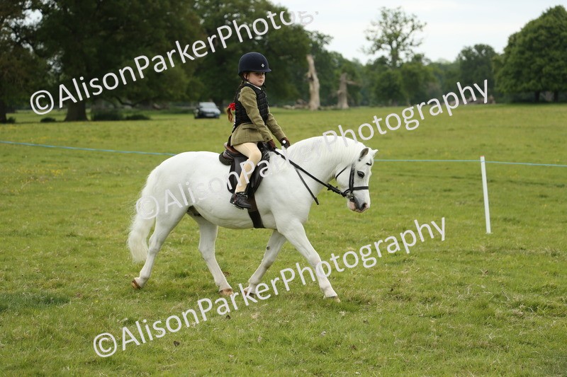20250517-1084 - Class 21 - Novice Working Hunter