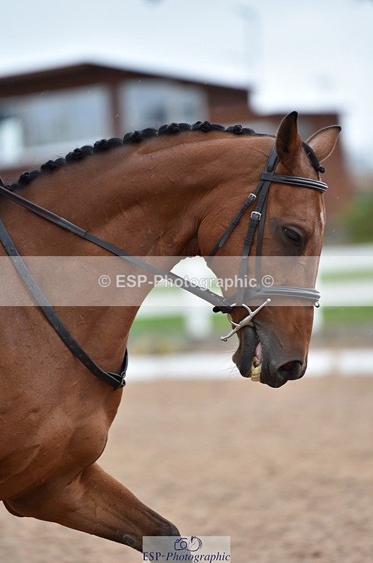 230630A-171712-03595 - Cls 4 Prelim 18