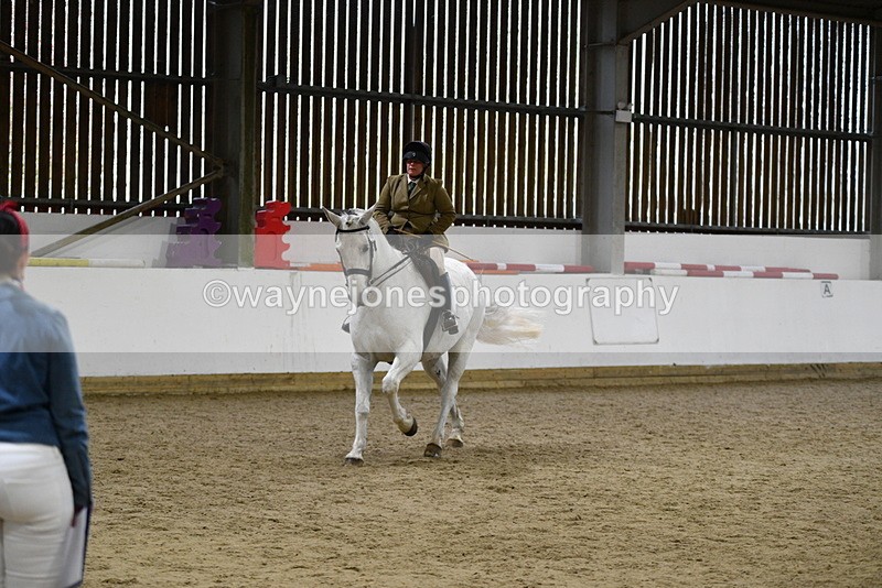 WJ5_9053 - Class 15 Ridden Show Horse