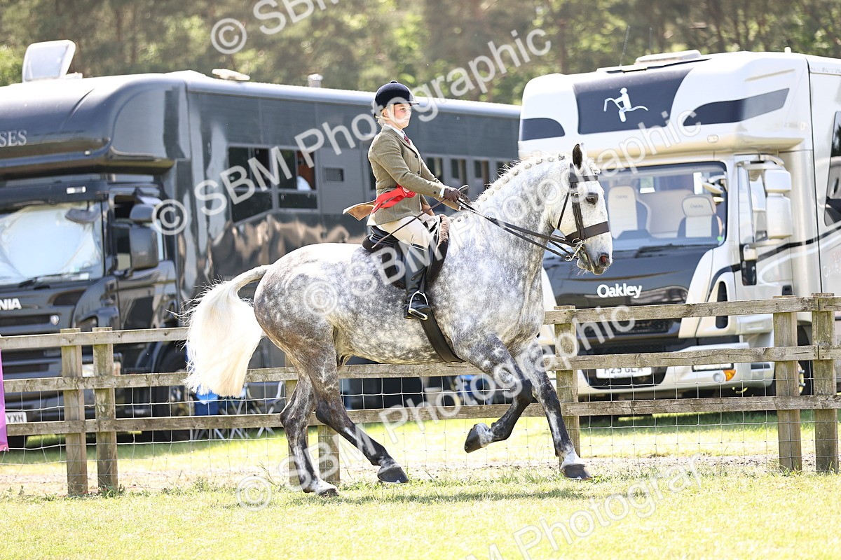 SBM_16189 - Class 79-80 - LIHS BSHA Rising Star Ridden Hunter