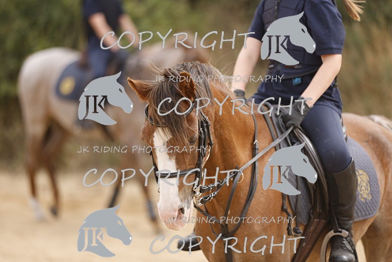 _R6A0925 - Sand arena