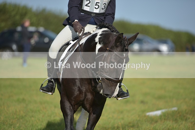 RAY_7322 - Class 2B: Trekenning Open: Dressage