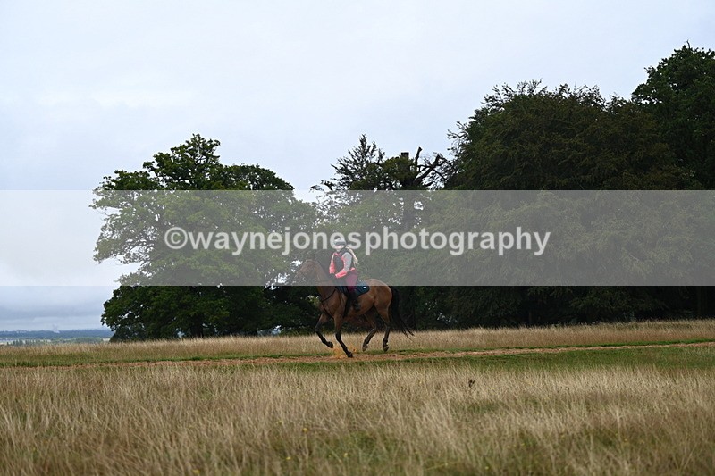 DSC_3931 - Time at Statue 14:56 to 15:05
