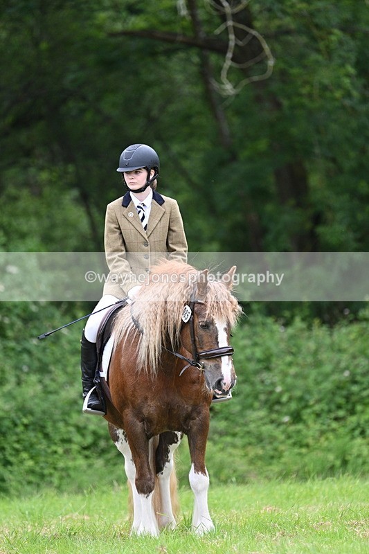 WJ7_4408 - Class 14B Prettiest Mare
