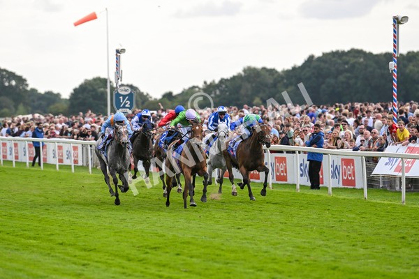 240824-Race 3-Breege-1395 - Race 3 3.00pm Sky Bet City Of York Stakes