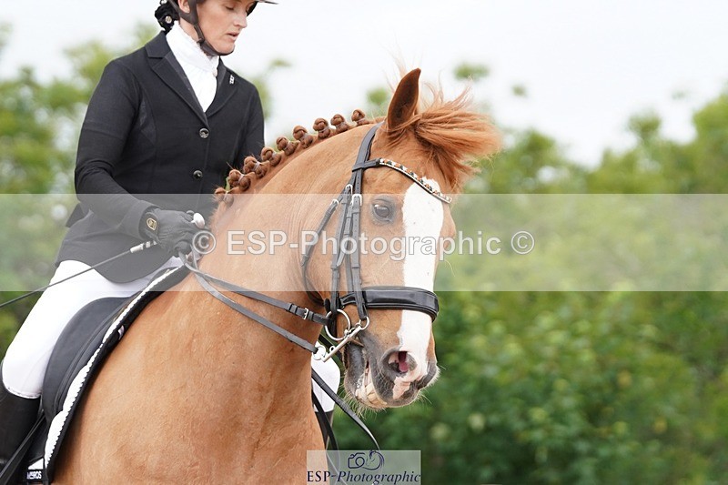 250622-114426-15776 - Cls 55 Freestyle Medium Inc Presentations