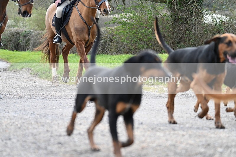 WJ7_9812 - Walk Home